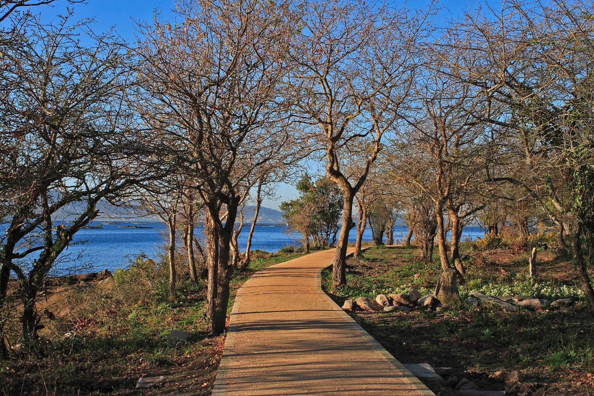 פויו Villa Covelo מראה חיצוני תמונה